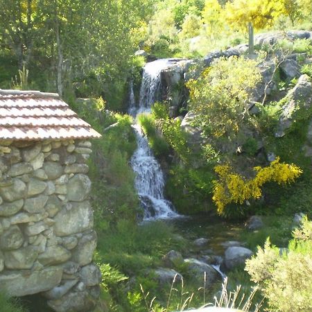 Quinta Dos 4 Lagares Ξενοδοχείο Serrazes Εξωτερικό φωτογραφία