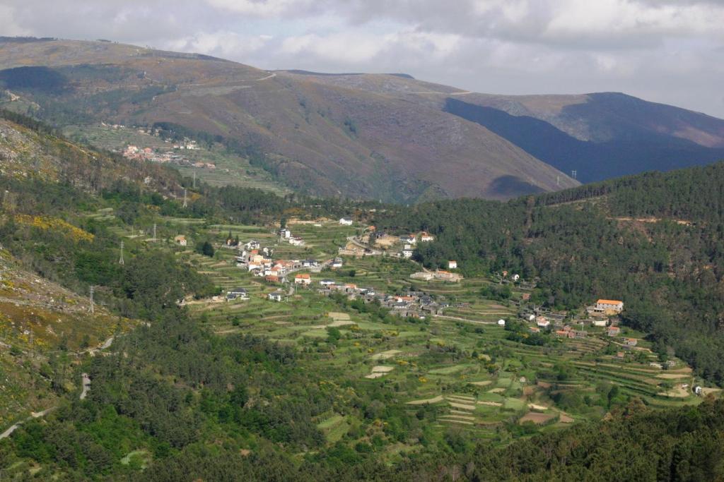 Quinta Dos 4 Lagares Ξενοδοχείο Serrazes Εξωτερικό φωτογραφία